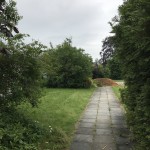 IMG_0026