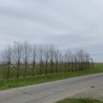 IMG_2198