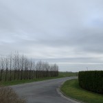 IMG_2218
